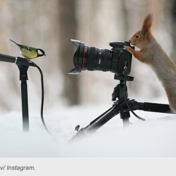 La “entrevista” fotográfica de Vadim Trunov sobre la vida en el bosque (+ Fotos)
